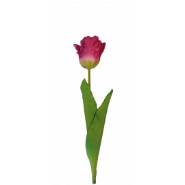 Pojedynczy kwiat tulipana 60cm różowy