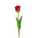 Pojedynczy kwiat tulipana 60cm czerwony