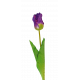 Pojedyncza gałązka z tulipanem 60cm fioletowa