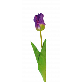 Pojedyncza gałązka z tulipanem 60cm fioletowa
