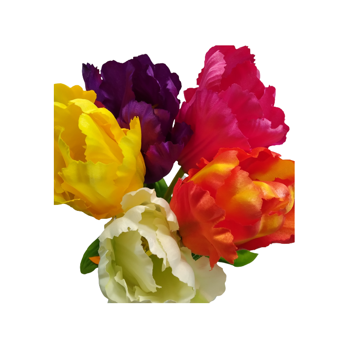 Tulipan Papuzi 60cm Mix kolorów