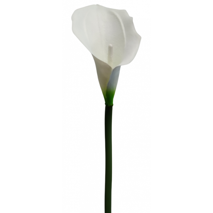 Kwiat sztuczny CALLA LATEX biały 75 cm