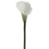 Kwiat sztuczny CALLA LATEX biały 75 cm