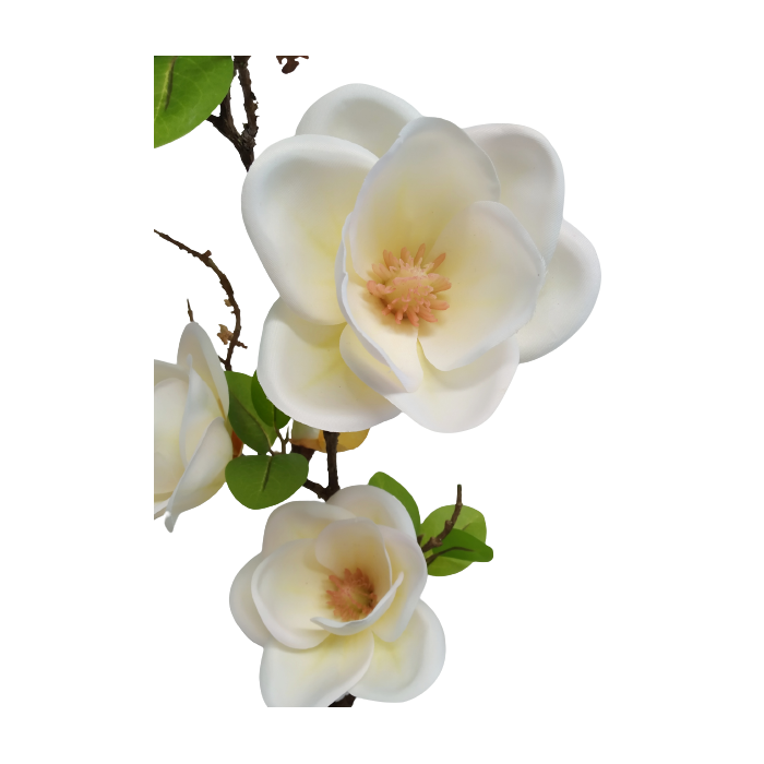 Gałązka Magnolia 82 cm