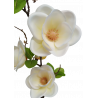 Gałązka Magnolia 82 cm