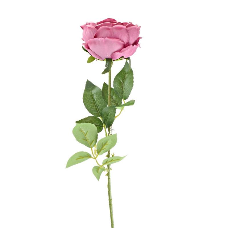 Pojedynczy kwiat piwonia 70cm ciemny róż