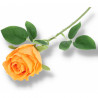 Gałązka róża pomarańczowa 50 cm