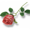 Gałązka róża dwa odcienie różu 50 cm