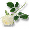 Gałązka róża biała 50 cm