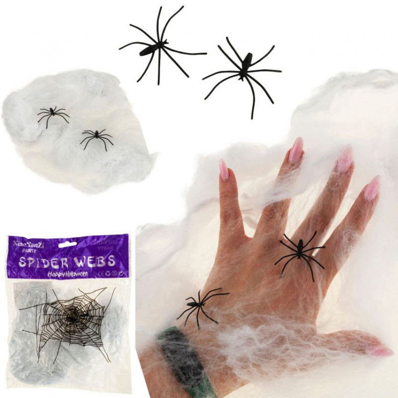 Pajęczyna z pająkami sieć Martom