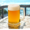 Kufel do piwa gładki Orion GLASMARK 500ml