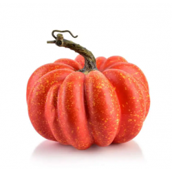 MAVE Figura dynia 14x16cm...