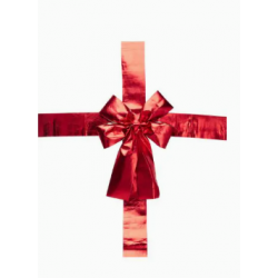 Kokarda na drzwi 33X42CM...