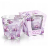 Świeca zapachowa w szkle ORCHID PHALAENOPSIS 115g
