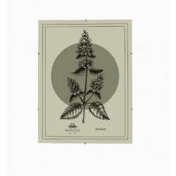 ADI Ramka 30x40 cm Antyrama