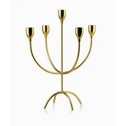 CEDRIC GOLD ŚWIECZNIK...