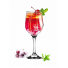 Kieliszek do wina Glasmark szkło bezbarwne 300 ml