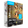 Lampki pingwinki BAT modee 0,9m WARM 10LED ML-C3022